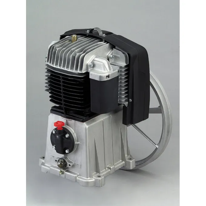 Gruppo pompante testata Fini bicilindrico BK 119