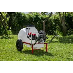 Pompa Annovi reverberi AR 252 Made in Italy Motopompa irrorazione carrellata Acqua Spray Mod.M25-120