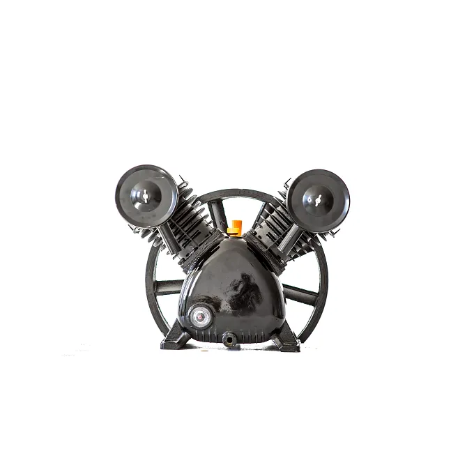 Sbaraglia Gruppo pompante testata Sbaraglia 900 lt a V