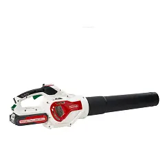 Soffiatore Elia a batteria 36 V