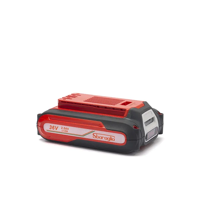 Sbaraglia Batteria 2.5 ampere 36 V ELIA